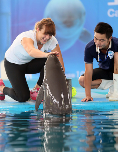 本地之星 本地之星